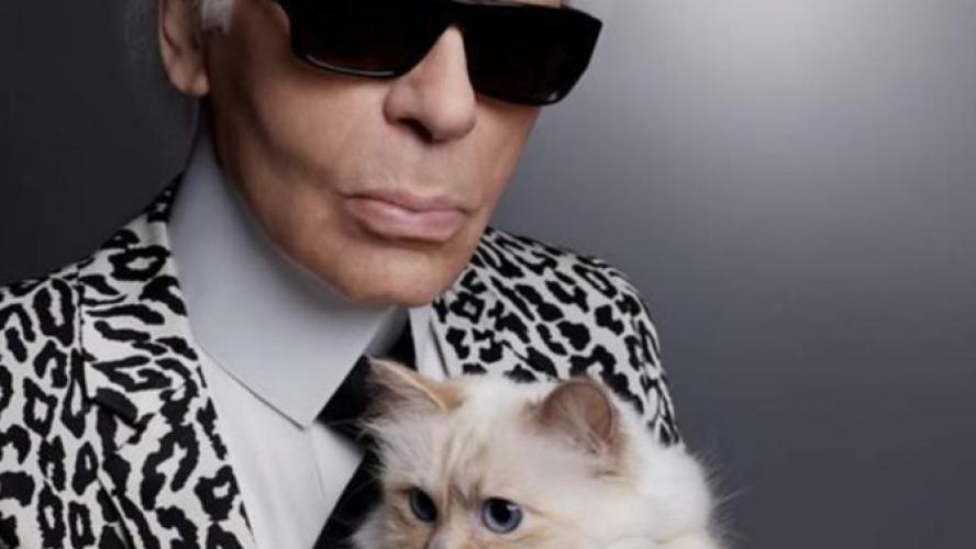 Some more News from Choupette! - Tendances People Mag