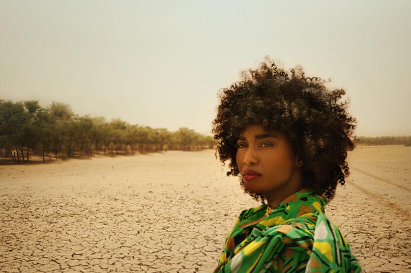 « The Great Green Wall » le documentaire écologique sur l'Afrique