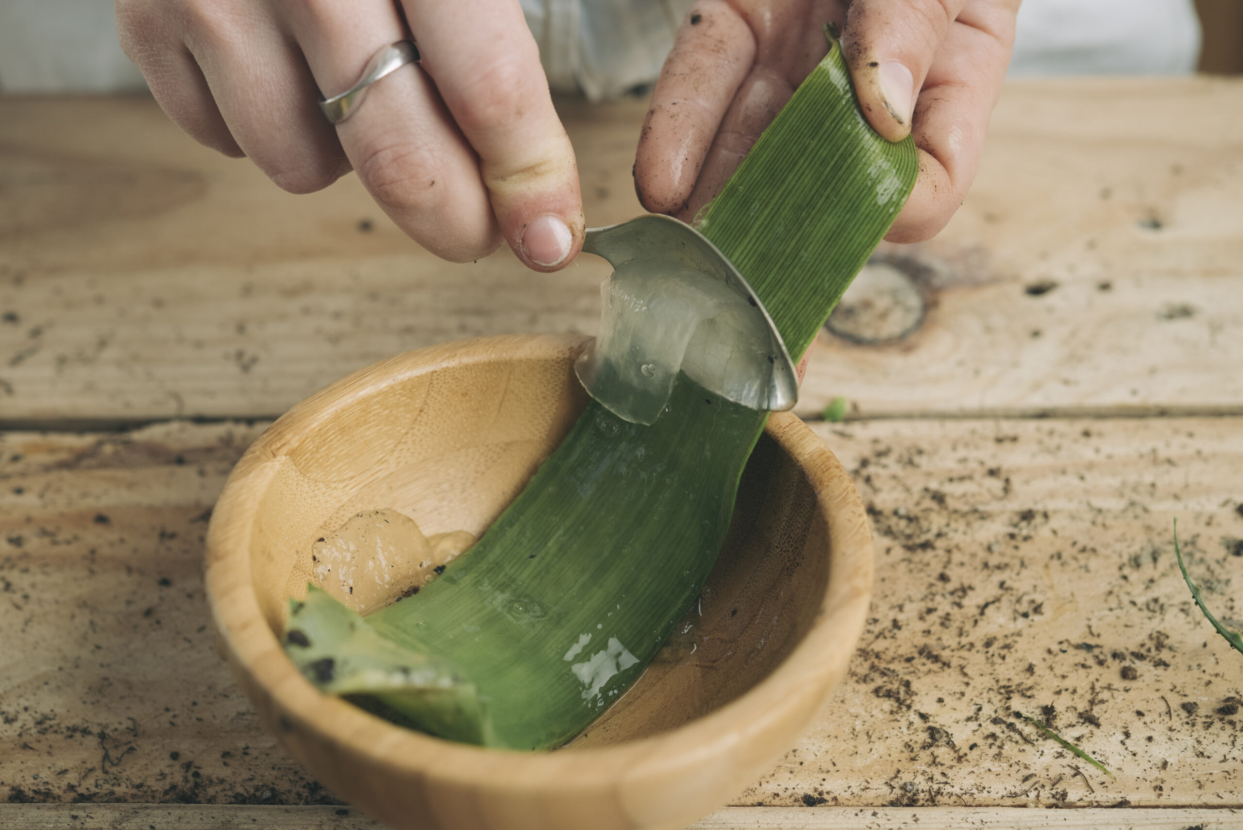 Aloe vera sur les cheveux : hydratation, pousse et brillance