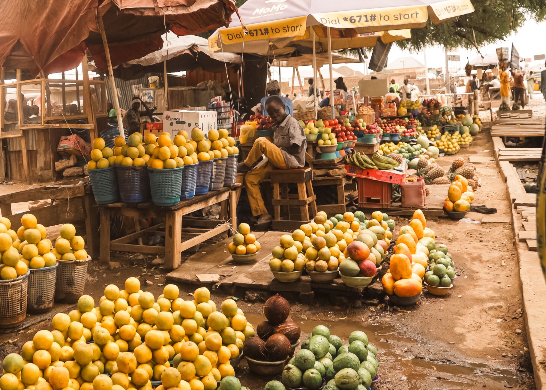 Zaban fruit africain bienfaits
