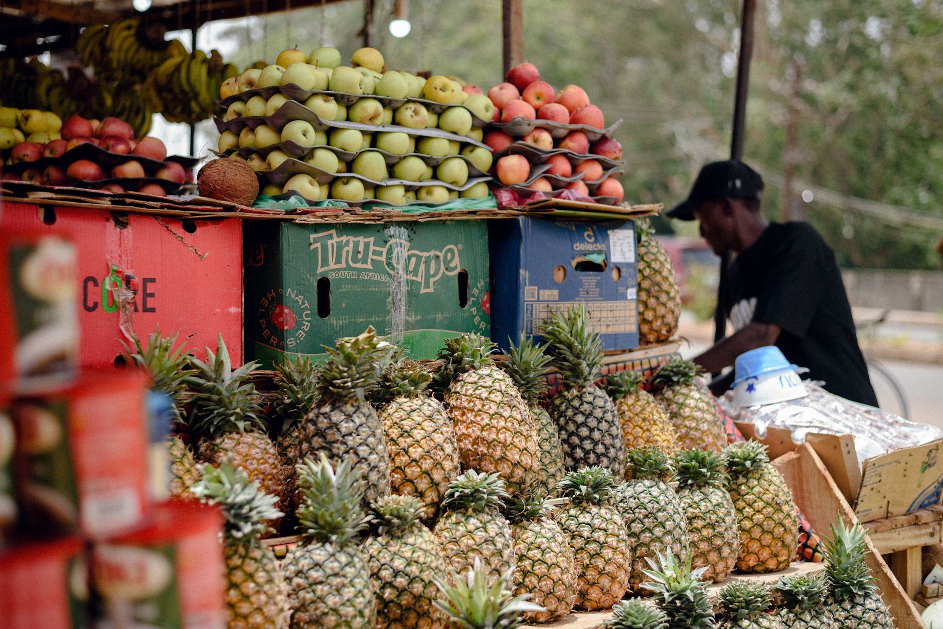 Zaban : ce fruit africain aux bienfaits insoupconnes