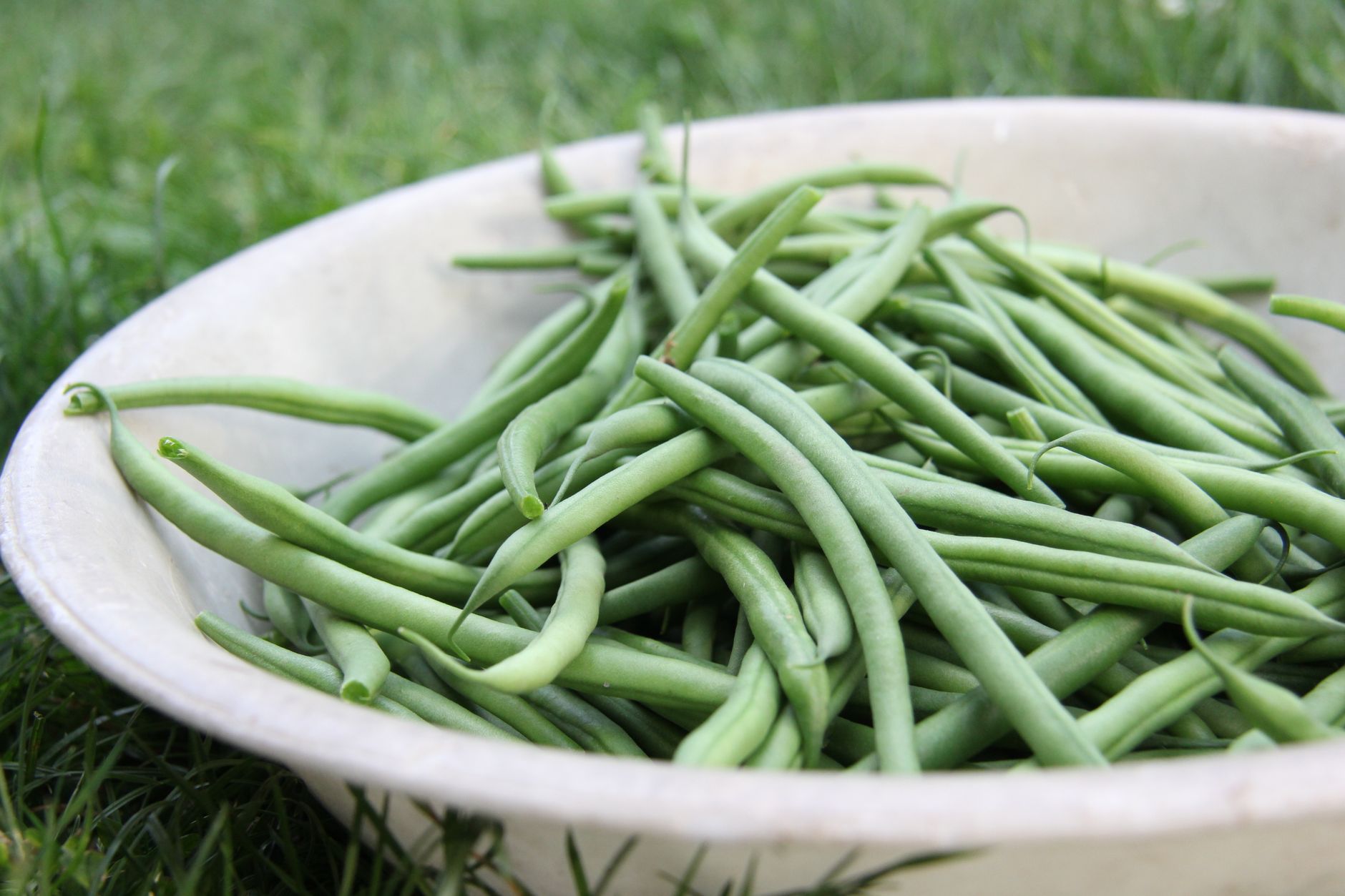 Bienfaits du haricot vert