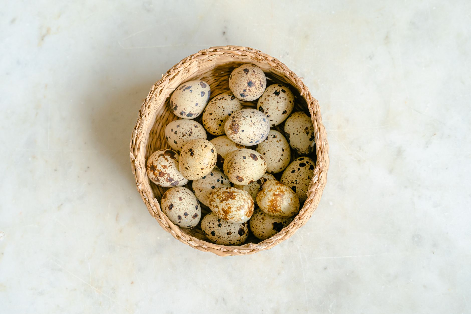 Oeufs de caille : bienfaits nutritionnels et vertus sante