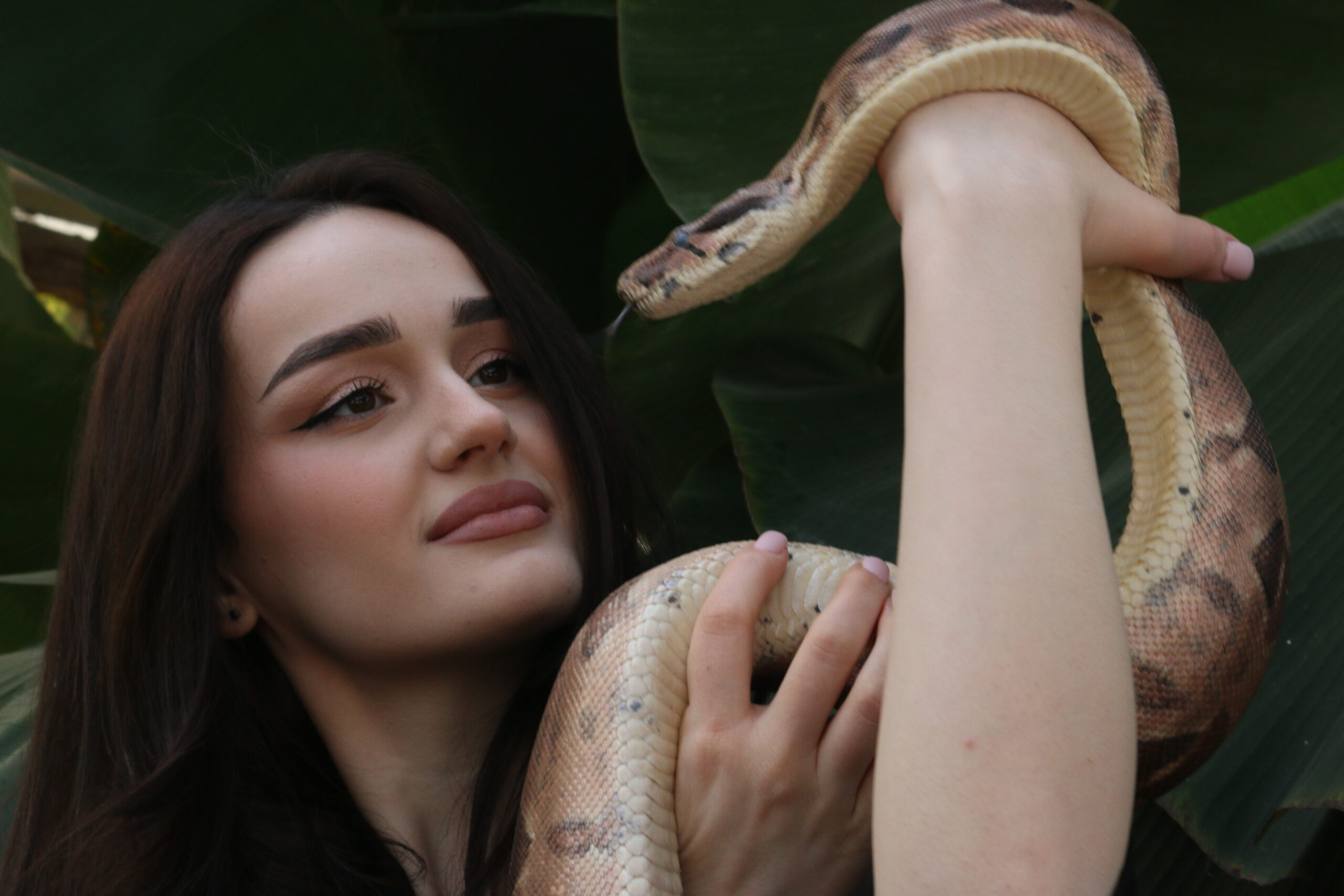 Huile de serpent cheveux